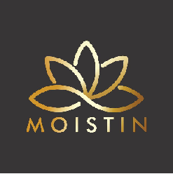 Hotel Moistin Pune | Business Class Hotel |Logo